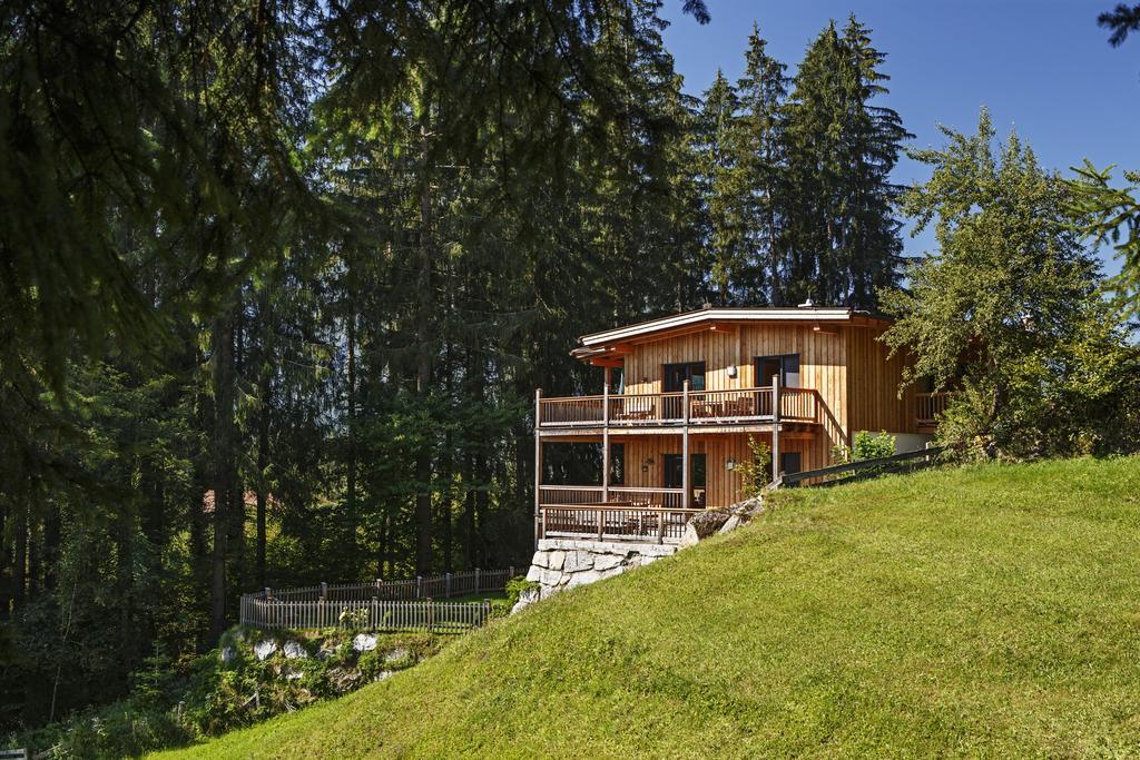 Appartement Waldhaeusl Нойкирхен-ам-Гросфенедигер Экстерьер фото