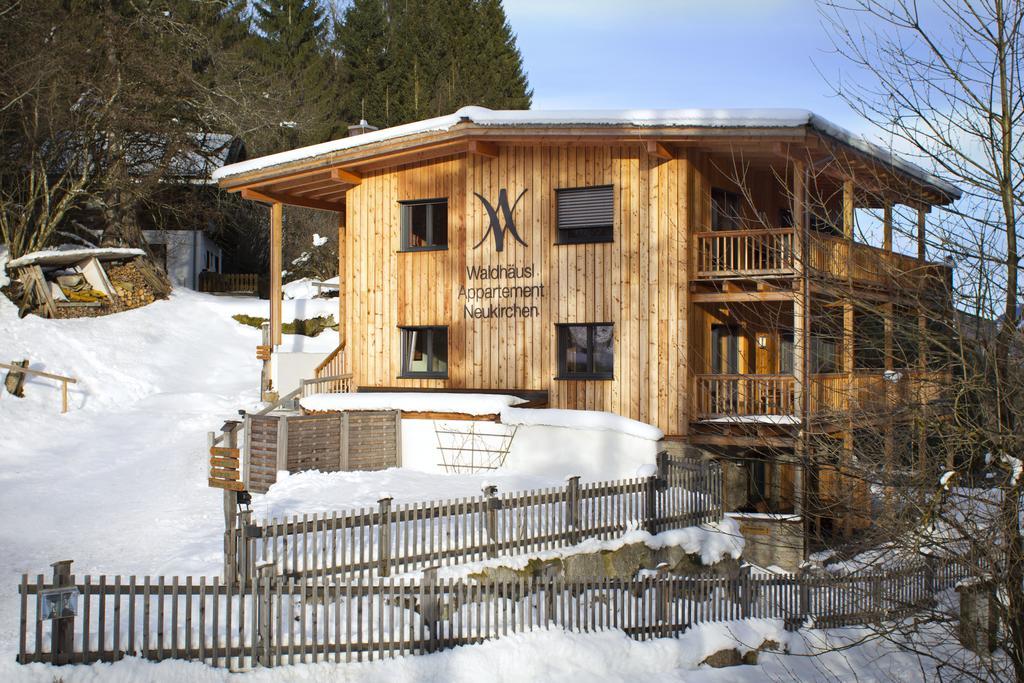 Appartement Waldhaeusl Нойкирхен-ам-Гросфенедигер Экстерьер фото