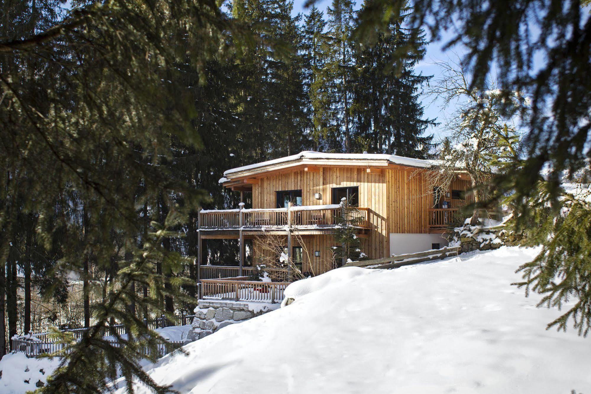 Appartement Waldhaeusl Нойкирхен-ам-Гросфенедигер Экстерьер фото